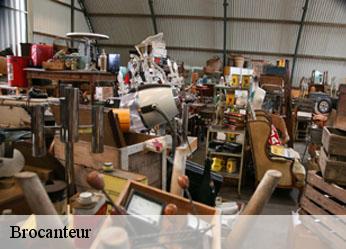 Brocanteur 89 Yonne  Antiquaire Sébastien