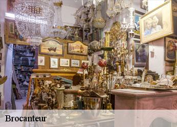 Brocanteur 89 Yonne  Antiquaire Sébastien