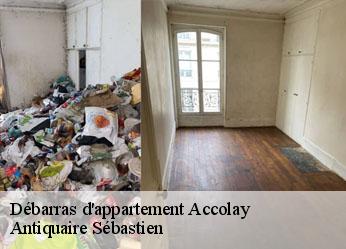 Débarras d'appartement  accolay-89460 Antiquaire Sébastien