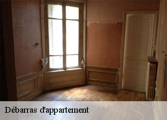 Débarras d'appartement  aigremont-89800 Antiquaire Sébastien