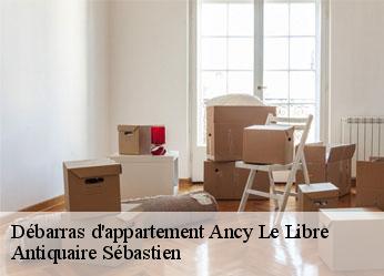 Débarras d'appartement  ancy-le-libre-89160 Antiquaire Sébastien