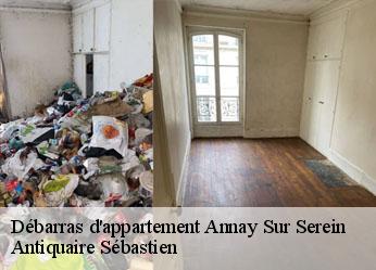Débarras d'appartement  annay-sur-serein-89310 Antiquaire Sébastien