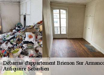 Débarras d'appartement  brienon-sur-armancon-89210 Antiquaire Sébastien