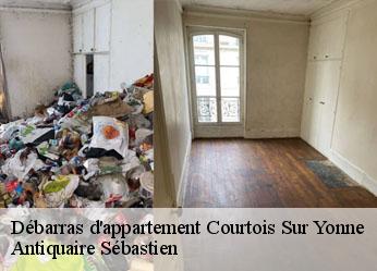 Débarras d'appartement  courtois-sur-yonne-89100 Antiquaire Sébastien
