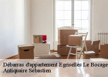 Débarras d'appartement  egriselles-le-bocage-89500 Antiquaire Sébastien