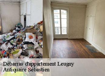 Débarras d'appartement  leugny-89130 Antiquaire Sébastien