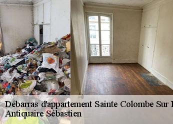 Débarras d'appartement  sainte-colombe-sur-loing-89520 Antiquaire Sébastien