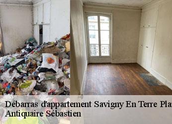 Débarras d'appartement  savigny-en-terre-plaine-89420 Antiquaire Sébastien