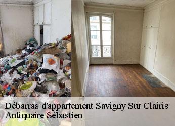 Débarras d'appartement  savigny-sur-clairis-89150 Antiquaire Sébastien