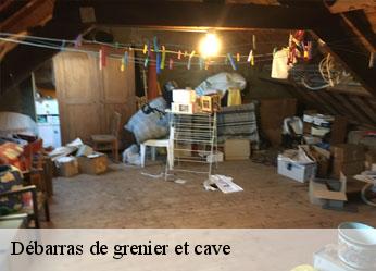 Débarras de grenier et cave  aigremont-89800 Antiquaire Sébastien