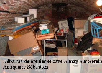 Débarras de grenier et cave  annay-sur-serein-89310 Antiquaire Sébastien