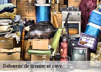 Débarras de grenier et cave  bassou-89400 Antiquaire Sébastien