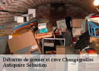 Débarras de grenier et cave  champignelles-89350 Antiquaire Sébastien