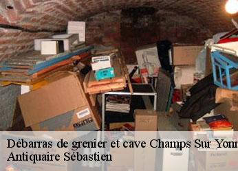 Débarras de grenier et cave  champs-sur-yonne-89290 Antiquaire Sébastien