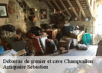 Débarras de grenier et cave  champvallon-89710 Antiquaire Sébastien