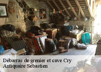 Débarras de grenier et cave  cry-89390 Antiquaire Sébastien