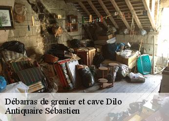 Débarras de grenier et cave  dilo-89320 Antiquaire Sébastien