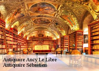 Antiquaire  ancy-le-libre-89160 Antiquaire Sébastien