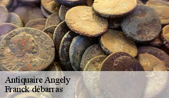 Antiquaire angely-89440 Franck débarras