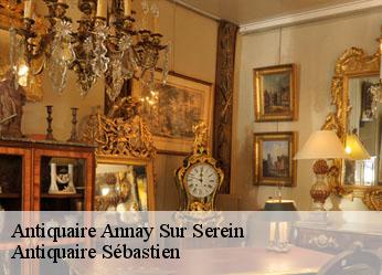 Antiquaire  annay-sur-serein-89310 Antiquaire Sébastien