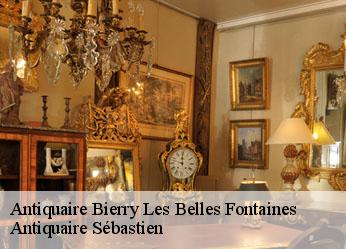 Antiquaire  bierry-les-belles-fontaines-89420 Antiquaire Sébastien