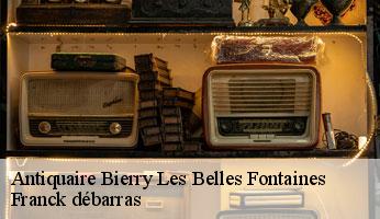 Antiquaire bierry-les-belles-fontaines-89420 Franck débarras