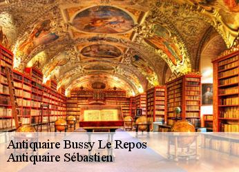 Antiquaire  bussy-le-repos-89500 Antiquaire Sébastien