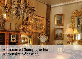 Antiquaire  champignelles-89350 Antiquaire Sébastien