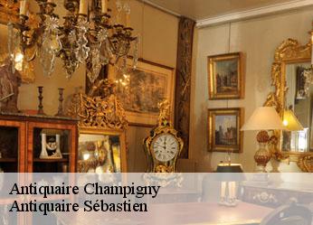 Antiquaire  champigny-89370 Antiquaire Sébastien