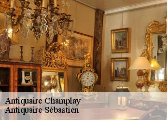 Antiquaire  champlay-89300 Antiquaire Sébastien