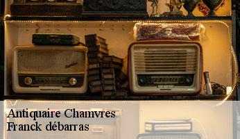 Antiquaire chamvres-89300 Franck débarras
