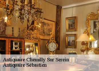 Antiquaire  chemilly-sur-serein-89800 Antiquaire Sébastien