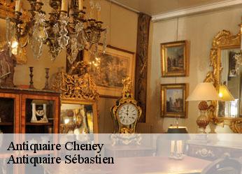 Antiquaire  cheney-89700 Antiquaire Sébastien