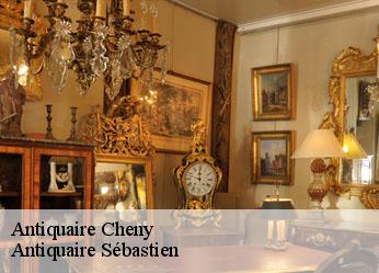 Antiquaire  cheny-89400 Antiquaire Sébastien