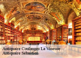 Antiquaire  coulanges-la-vineuse-89580 Antiquaire Sébastien