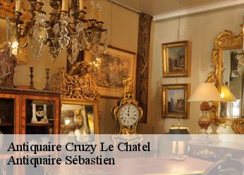 Antiquaire  cruzy-le-chatel-89740 Antiquaire Sébastien