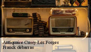 Antiquaire cussy-les-forges-89420 Franck débarras