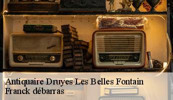 Antiquaire  druyes-les-belles-fontain-89560 Franck débarras