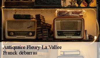 Antiquaire  fleury-la-vallee-89113 Franck débarras