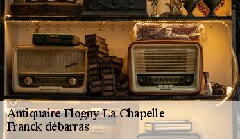 Antiquaire  flogny-la-chapelle-89360 Franck débarras