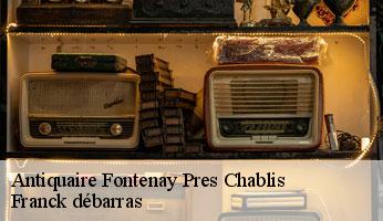 Antiquaire fontenay-pres-chablis-89800 Franck débarras