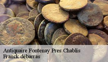 Antiquaire fontenay-pres-chablis-89800 Franck débarras