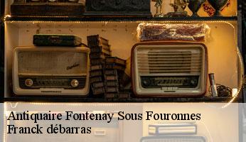 Antiquaire fontenay-sous-fouronnes-89660 Franck débarras
