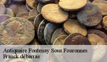 Antiquaire fontenay-sous-fouronnes-89660 Franck débarras