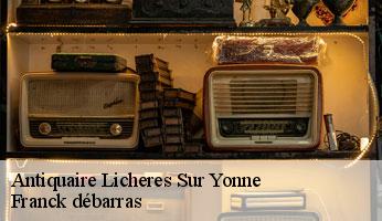 Antiquaire  licheres-sur-yonne-89660 Franck débarras