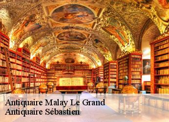 Antiquaire  malay-le-grand-89100 Antiquaire Sébastien