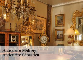 Antiquaire  melisey-89430 Antiquaire Sébastien