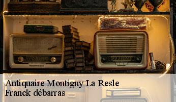 Antiquaire montigny-la-resle-89230 Franck débarras