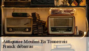 Antiquaire moulins-en-tonnerrois-89310 Franck débarras
