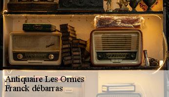 Antiquaire les-ormes-89110 Franck débarras